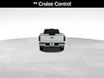 2025 Ford F-150 Regular Cab 4x4 Pickup for sale #21449 - photo 5