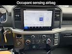 2025 Ford F-150 Regular Cab 4x4 Pickup for sale #21450 - photo 22