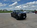 2025 Ford F-150 SuperCrew Cab 4x4 Pickup for sale #21472 - photo 12