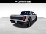 2025 Ford F-150 SuperCrew Cab 4x4 Pickup for sale #21488 - photo 9