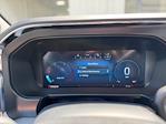 2025 Ford F-250 Crew Cab 4x4 Pickup for sale #21536 - photo 20