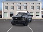 2025 Ford F-150 SuperCrew Cab 4WD Pickup for sale #25F144 - photo 3