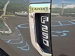 2017 Ford F-250 Crew Cab 4x4 Pickup for sale #25F54A - photo 30