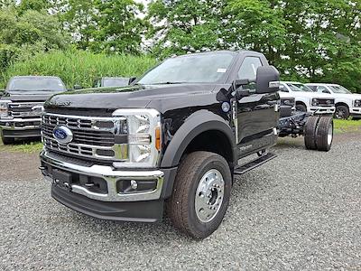 2025 Ford F-600 Regular Cab DRW 4WD Cab Chassis for sale #25FC64 - photo 1