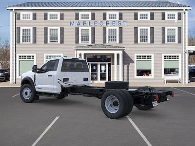 New 2025 Ford F-600 Regular Cab 4WD Cab Chassis for sale #25FC77 - photo 2