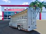 2019 Freightliner M2 106 Conventional Cab 4x2 Glass Body for sale #1142S - photo 2