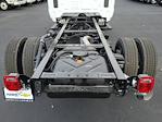 2024 Chevrolet Silverado 5500 Regular Cab DRW RWD Cab Chassis for sale #241016 - photo 18