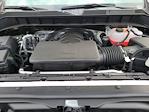 2025 Chevrolet Silverado 1500 Regular Cab 4WD Pickup for sale #250299 - photo 19