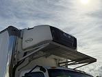 Used 2020 International MV Refrigerated Body for sale #7698 - photo 20