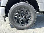 2025 Ford F-350 Crew Cab SRW 4x4 Pickup for sale #0540925T - photo 9