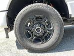 New 2025 Ford F-250 XL Crew Cab 4x4 Pickup for sale #0552424T - photo 9