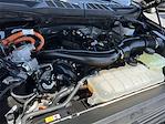 2024 Ford F-150 SuperCrew Cab 4x4 Pickup for sale #0PR73177 - photo 24