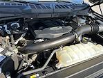 2023 Ford F-150 SuperCrew Cab 4x4 Pickup for sale #0PR73179 - photo 23