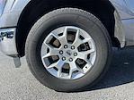 2023 Ford F-150 SuperCrew Cab 4x4 Pickup for sale #0PR73179 - photo 9