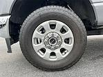 Used 2024 Ford F-350 XLT Crew Cab for sale #KBFP240323 - photo 9