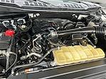 2019 Ford F-150 Regular Cab 4WD Pickup for sale #KBF250055A - photo 17