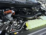 New 2025 Ford F-150 XLT SuperCrew Cab 4x4 Pickup for sale #KBF250089 - photo 24