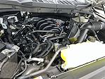 New 2025 Ford F-150 XLT SuperCrew Cab 4x4 Pickup for sale #KBF250202 - photo 24
