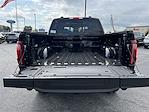 New 2025 Ford F-150 Tremor SuperCrew Cab 4x4 Pickup for sale #KBF250212 - photo 23