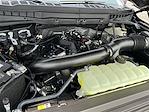 New 2025 Ford F-150 Tremor SuperCrew Cab 4x4 Pickup for sale #KBF250213 - photo 24