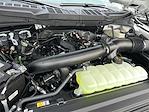 New 2025 Ford F-150 XLT SuperCrew Cab 4x4 Pickup for sale #KBF250216 - photo 24