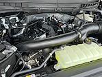 New 2025 Ford F-150 Tremor SuperCrew Cab 4x4 Pickup for sale #KBF250253 - photo 24
