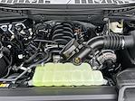 New 2025 Ford F-150 Tremor SuperCrew Cab 4x4 Pickup for sale #KBF250268 - photo 25