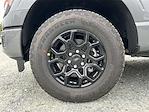 2025 Ford F-150 SuperCrew Cab 4x4 Pickup for sale #KBF250269 - photo 9