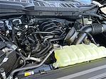 2025 Ford F-150 SuperCrew Cab 4WD Pickup for sale #KBF250293 - photo 24