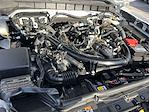 2024 Ford Bronco 4WD SUV for sale #KBF250322A - photo 24