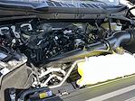 New 2025 Ford F-150 STX SuperCrew Cab 4WD Pickup for sale #KBF250346 - photo 23