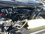 New 2025 Ford F-150 XLT SuperCrew Cab 4WD Pickup for sale #KBF250418 - photo 24