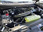 New 2025 Ford Expedition MAX Platinum 4WD SUV for sale #KBF250434 - photo 26