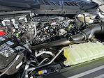 New 2025 Ford F-150 XL Super Cab 4WD Pickup for sale #KBF250464 - photo 22
