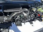New 2025 Ford Transit 250 Low Roof Empty Cargo Van for sale #KBF250473 - photo 22