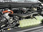 New 2025 Ford F-150 Platinum SuperCrew Cab 4WD Pickup for sale #KBF250496 - photo 25