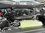 New 2025 Ford F-150 STX SuperCrew Cab 4WD Pickup for sale #KBF250585 - photo 23