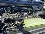 2025 Ford F-150 SuperCrew Cab 4WD Pickup for sale #KBF250687 - photo 23