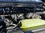 New 2025 Ford F-150 Tremor SuperCrew Cab 4WD Pickup for sale #KBF250693 - photo 24