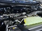 New 2025 Ford F-150 STX SuperCrew Cab 4WD Pickup for sale #KBF250711 - photo 23