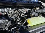 2025 Ford F-150 SuperCrew Cab 4WD Pickup for sale #KBF250720 - photo 24
