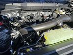 2025 Ford F-150 SuperCrew Cab 4WD Pickup for sale #KBF250768 - photo 24