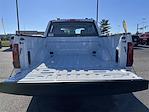2025 Ford F-150 SuperCrew Cab 4WD Pickup for sale #KBF250882 - photo 20