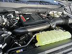 2025 Ford F-150 SuperCrew Cab 4WD Pickup for sale #KBF250962 - photo 25
