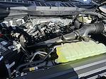 New 2025 Ford F-150 STX SuperCrew Cab for sale #KBF251069 - photo 22