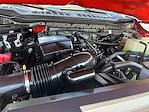 2025 Ford F-250 Crew Cab 4WD Pickup for sale #KBF260261A - photo 24
