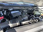 New 2026 Ford F-250 XLT Crew Cab 4x4 Pickup for sale #KBF260309 - photo 24