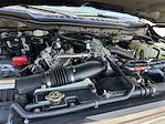 New 2026 Ford F-350 Platinum Crew Cab 4x4 DRW Pickup for sale #KBF260349 - photo 25