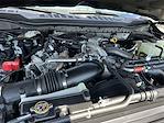 New 2026 Ford F-250 Platinum Crew Cab 4WD Pickup for sale #KBF260429 - photo 25