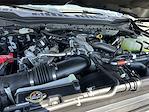 New 2026 Ford F-250 Platinum Crew Cab 4WD Pickup for sale #KBF260436 - photo 25
